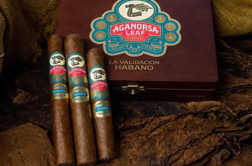  Aganorsa Leaf Streamlines Its Core Brands | Cigar Aficionado