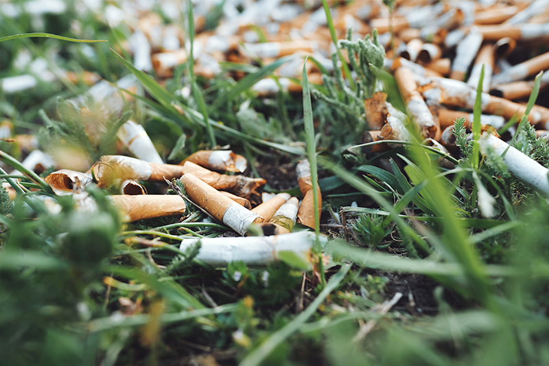  WHO Questions the Tobacco Industry’s Sustainability Claims
