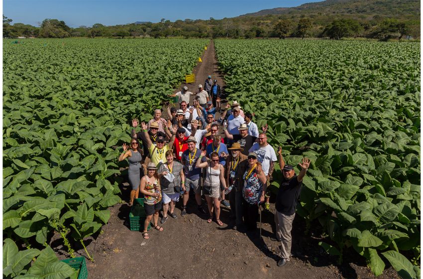 Nicaragua’s Puro Sabor Festival Returns to Esteli – CigarSnob