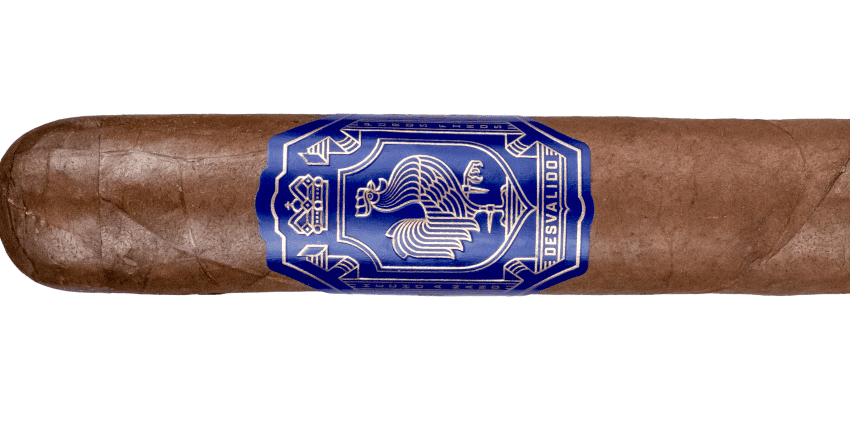  Dapper Desvalido Toro – Blind Cigar Review