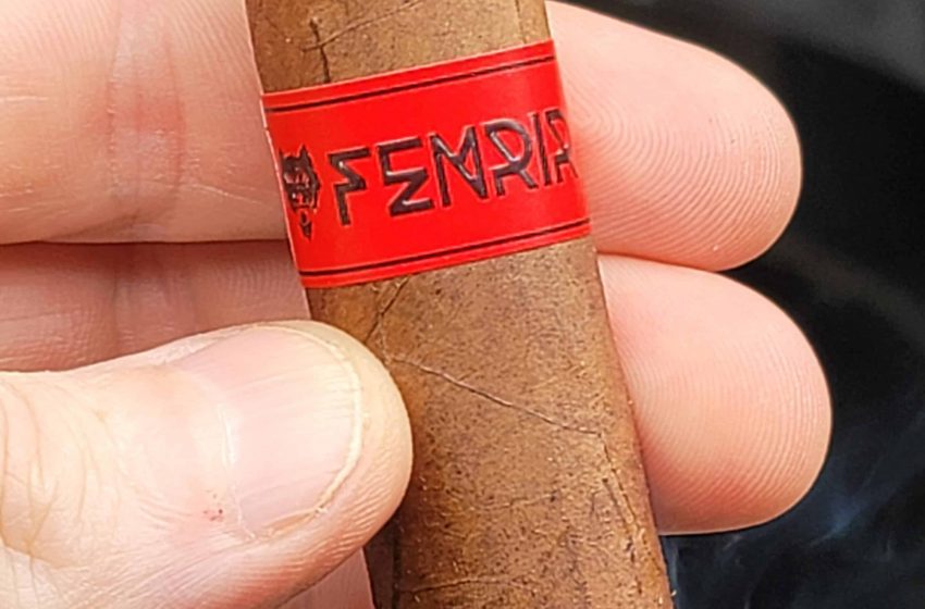  Family X Loyalty Fenrir Pipe Size – Quick Cigar Review