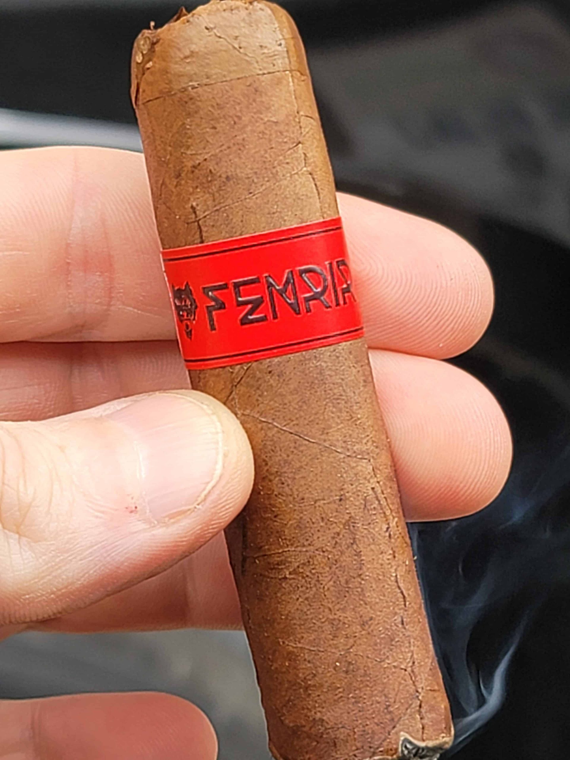 family-x-loyalty-fenrir-pipe-size-–-quick-cigar-review