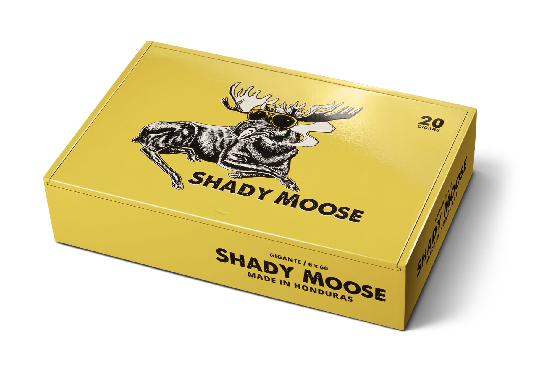 shady-moose-launching-march-1