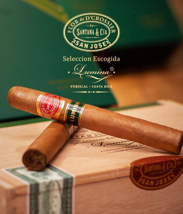 pure-aroma-announces-flor-de-d’crossier-seleccion-escogida-lumina-–-cigar-news