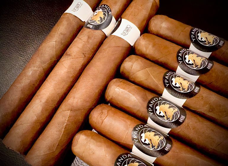  Luciano Cigars Introduced Y Panda