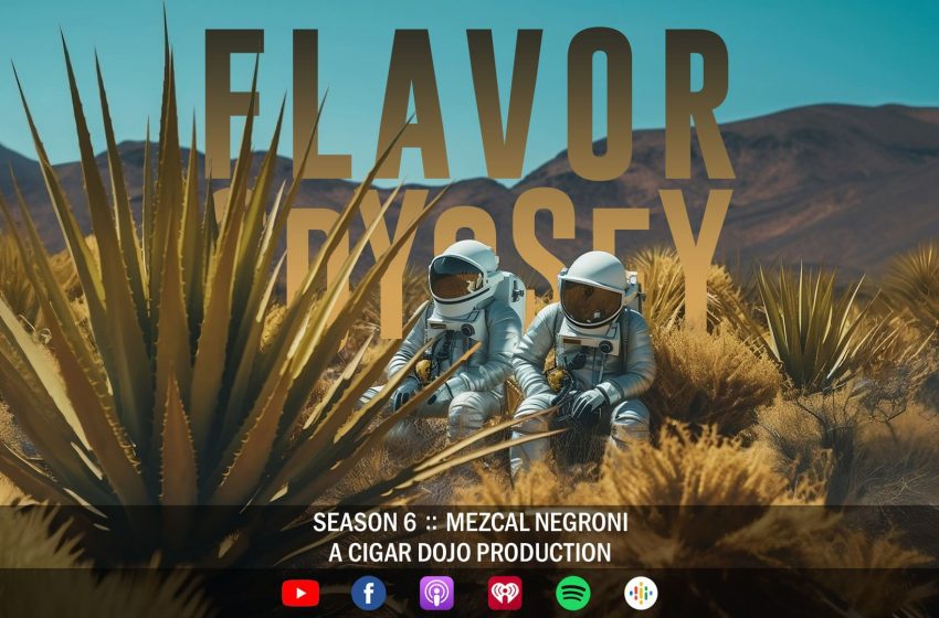  Flavor Odyssey – Mezcal Negroni