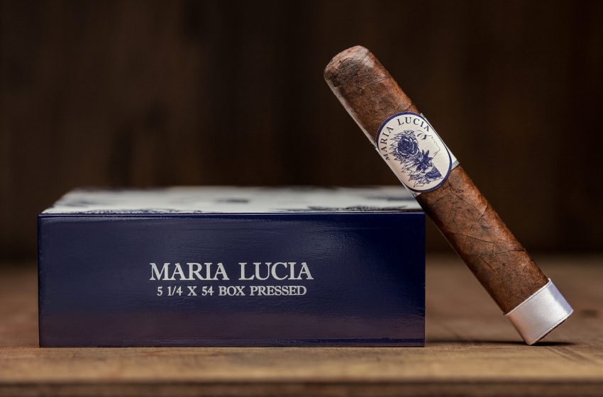  Maria Lucia’s New Sizes Head to Stores