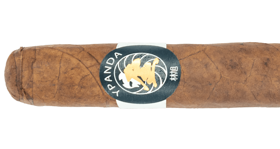 luciano-y-panda-toro-–-blind-cigar-review
