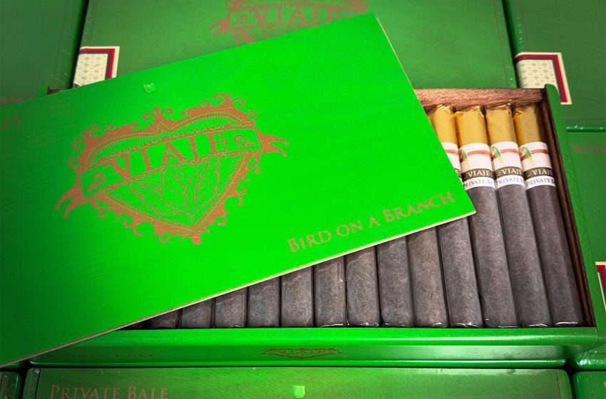  Viaje Releasing Private Bale Bird on a Branch and Furiosa Imperator Next Week